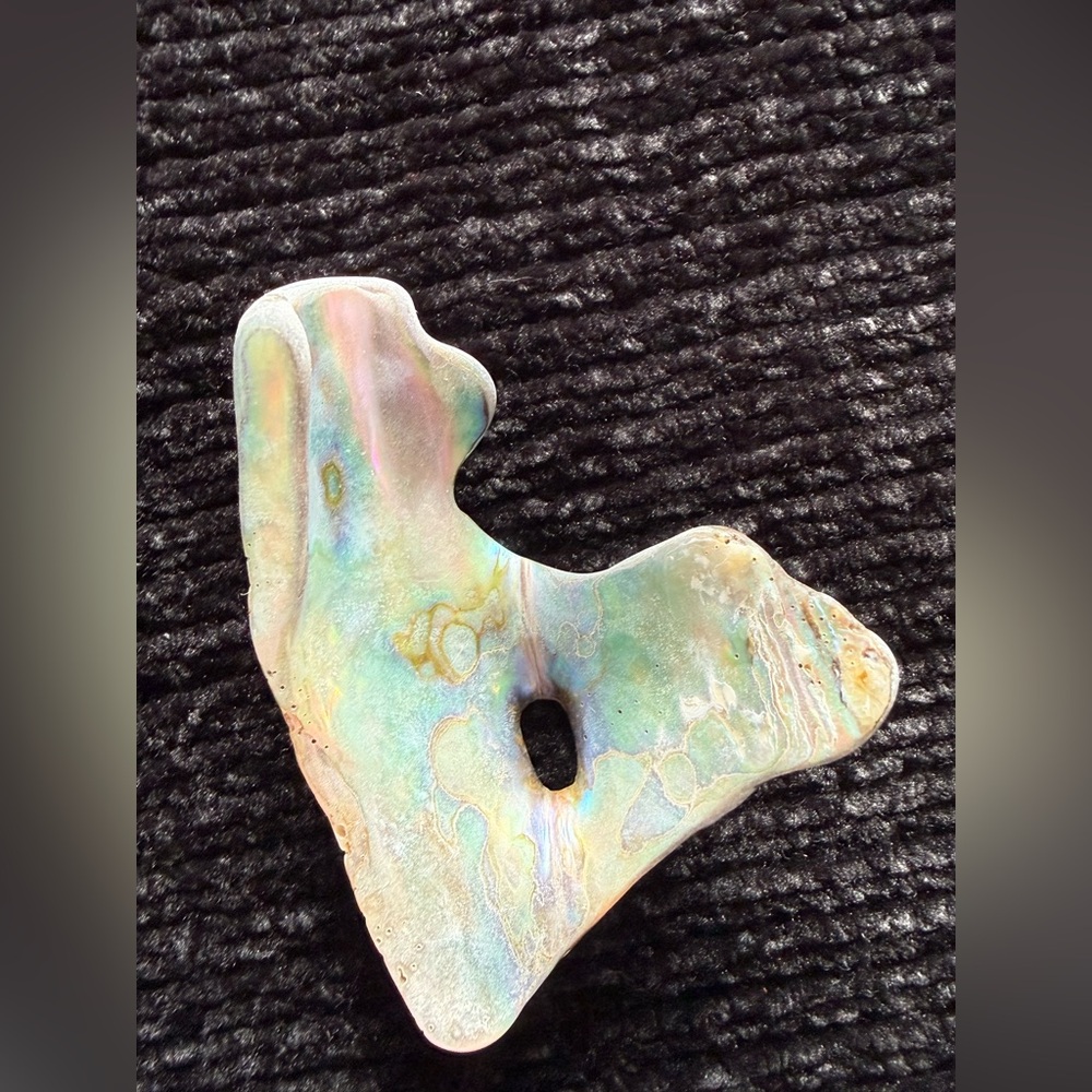 Colorful Abalone Shell Pieces - Picture 3 of 8